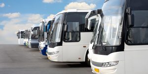 San Diego Party Bus Services, Limo Bus, Party Bus, Shuttle Bus, Charter Bus, Business, Executive, Airport Transfers, Team Sports Transportation, Wedding Shuttle, City Tours, Downtown Clubs, Birthday, Music Festival, Music Venue, Cruise Port