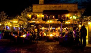 Best Wineries in San Diego, Limousine, Transportation, Sedan, SUV, Charter, Shuttle, Wine Cabernet, Sauvignon, Chardonnay, Merlot, Zinfandel, Party Bus, North County, Escondido, Temecula, Bernardo Winery