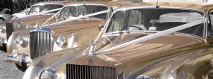 Clairemont Mesa Classic Vintage Car Rental Services, Antique, Rolls Royce, Bentley, White, Wedding Getaway