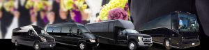 San Diego Wedding Bus Shuttle Rental Services, White Limo, Limousine, Luxury Sedan, SUV, White Cadillac Escalade, Party Bus, Charter, Bride, Groom, Classic, Vintage, Antique, White Rolls Royce Bentley, One Way