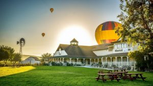 San Diego Winery Tasting Tour Bus Rentals, Limousine, Transportation, Sedan, SUV, Charter, Shuttle, Wine Cabernet, Sauvignon, Chardonnay, Merlot, Zinfandel, Party Bus, North County, Escondido, Temecula, Bernardo Winery