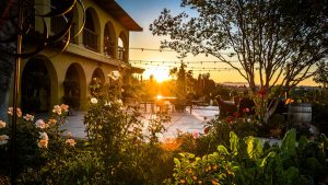 San Diego Winery Tasting Tour Limousine Bus Rentals, Transportation, Sedan, SUV, Charter, Shuttle, Wine Cabernet, Sauvignon, Chardonnay, Merlot, Zinfandel, Party Bus, North County, Escondido, Temecula, Bernardo Winery