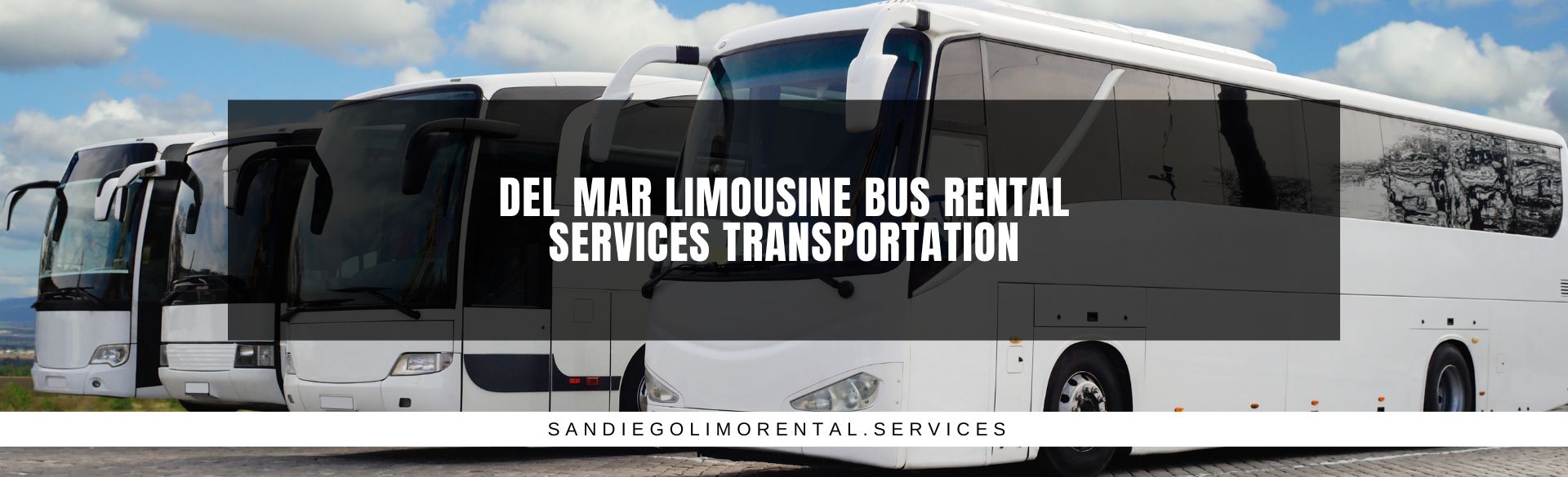Del Mar Limousine Bus Rental Services Transportation