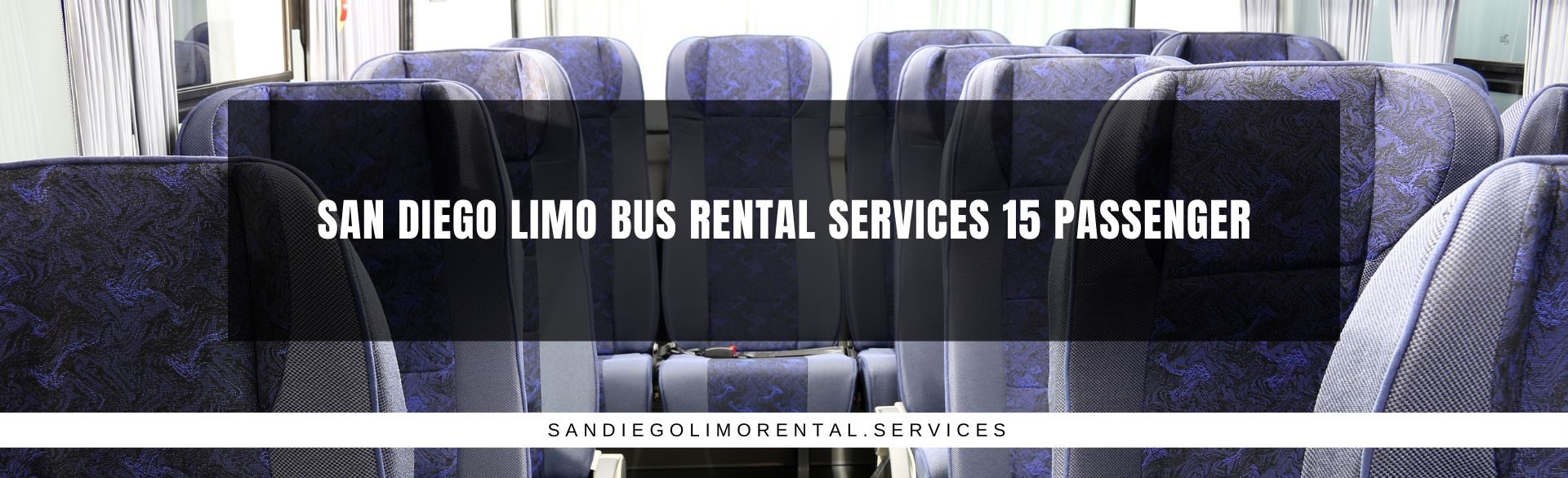 San Diego Limo Bus Rental Services 15 Passenger