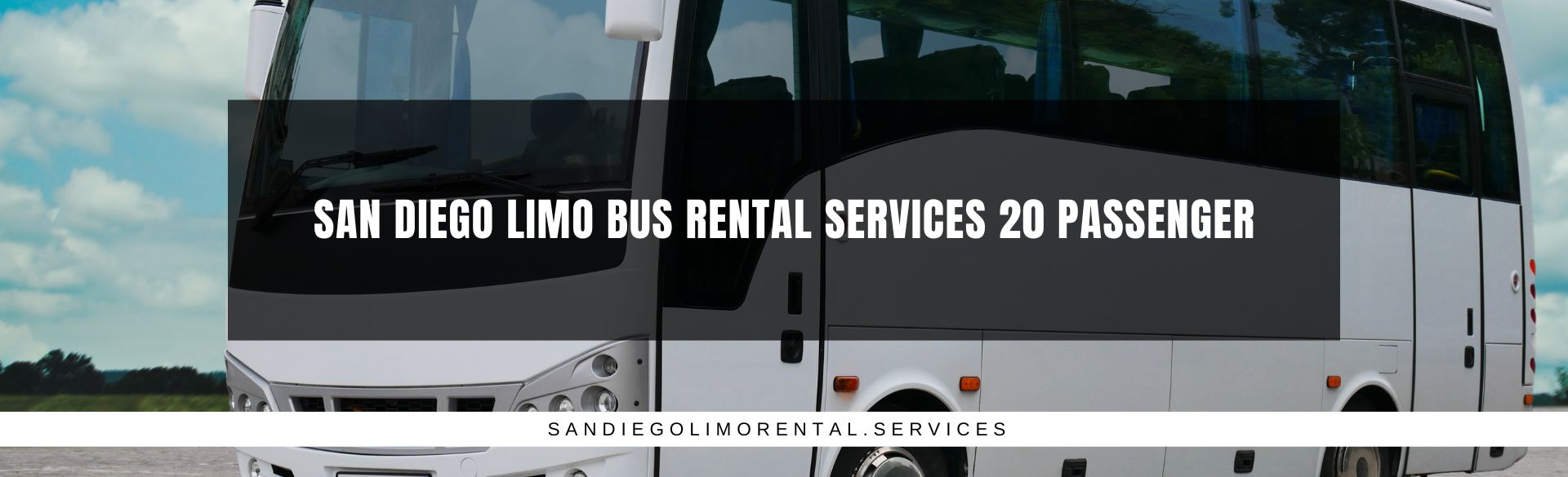 San Diego Limo Bus Rental Services 20 Passenger