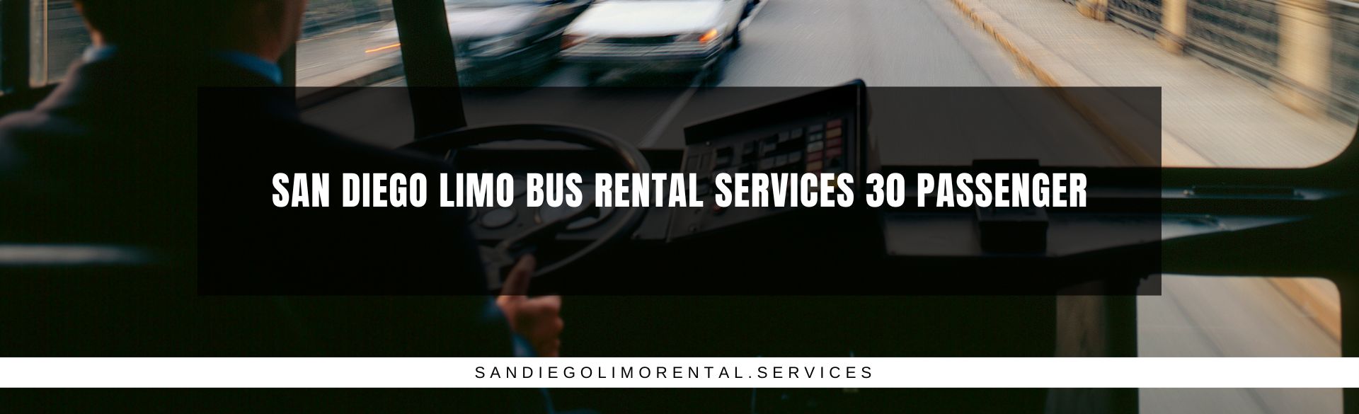 San Diego Limo Bus Rental Services 30 Passenger