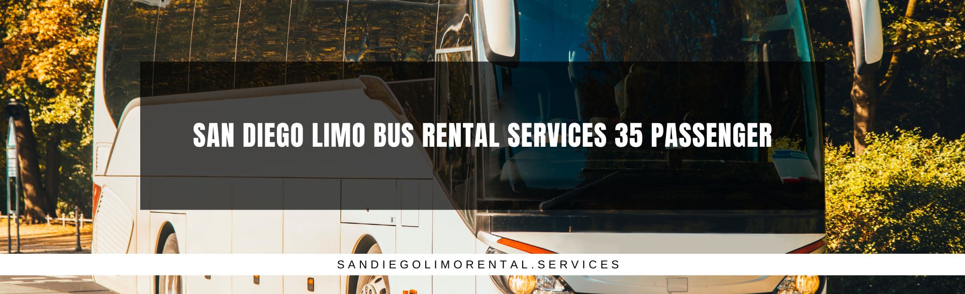 San Diego Limo Bus Rental Services 35 Passenger