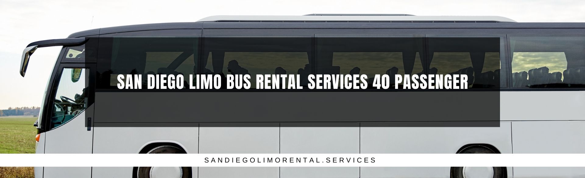 San Diego Limo Bus Rental Services 40 Passenger