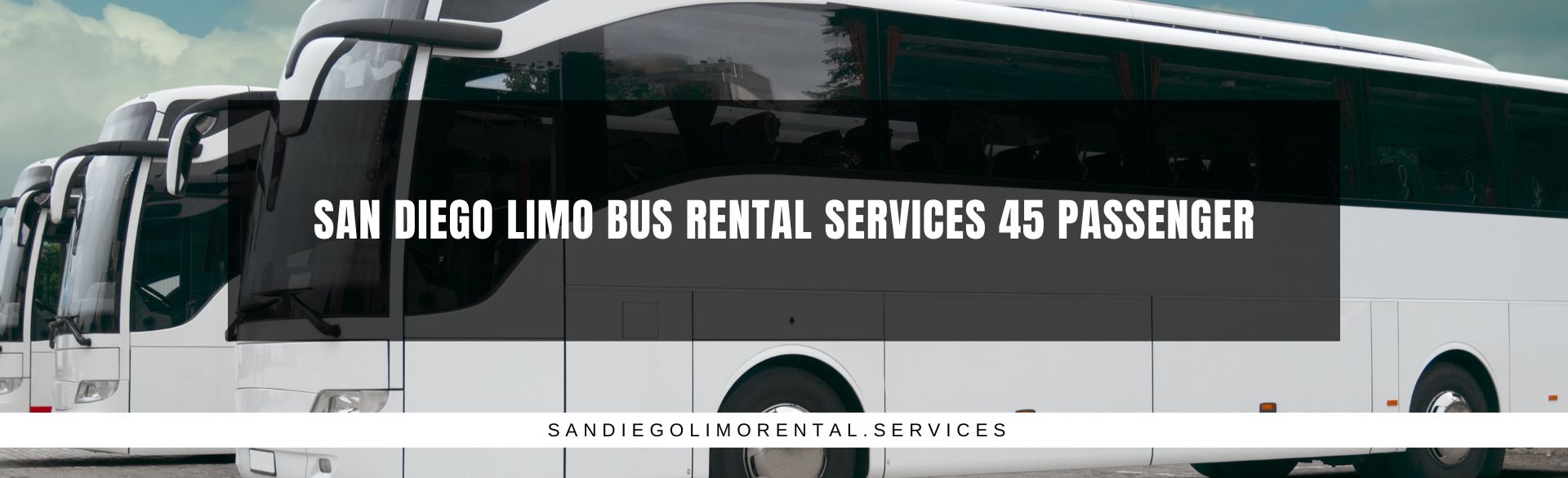 San Diego Limo Bus Rental Services 45 Passenger