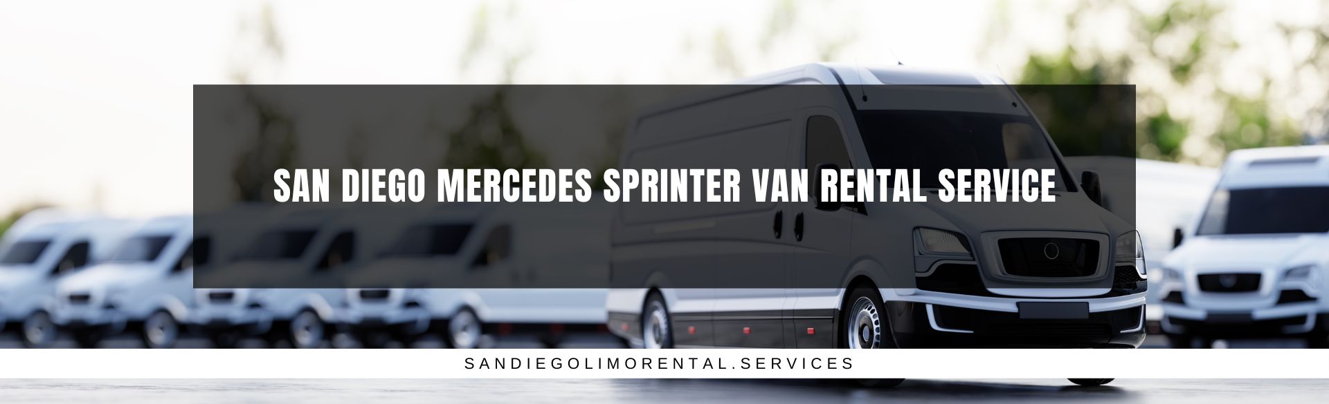 San Diego Mercedes Sprinter Van Rental Service