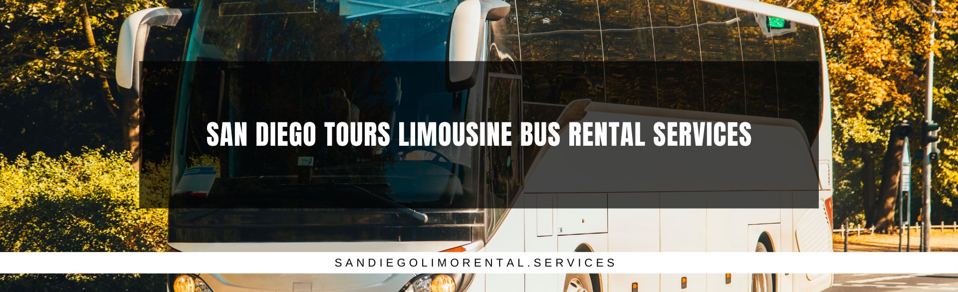 San Diego Tours Limousine Bus Rental Services