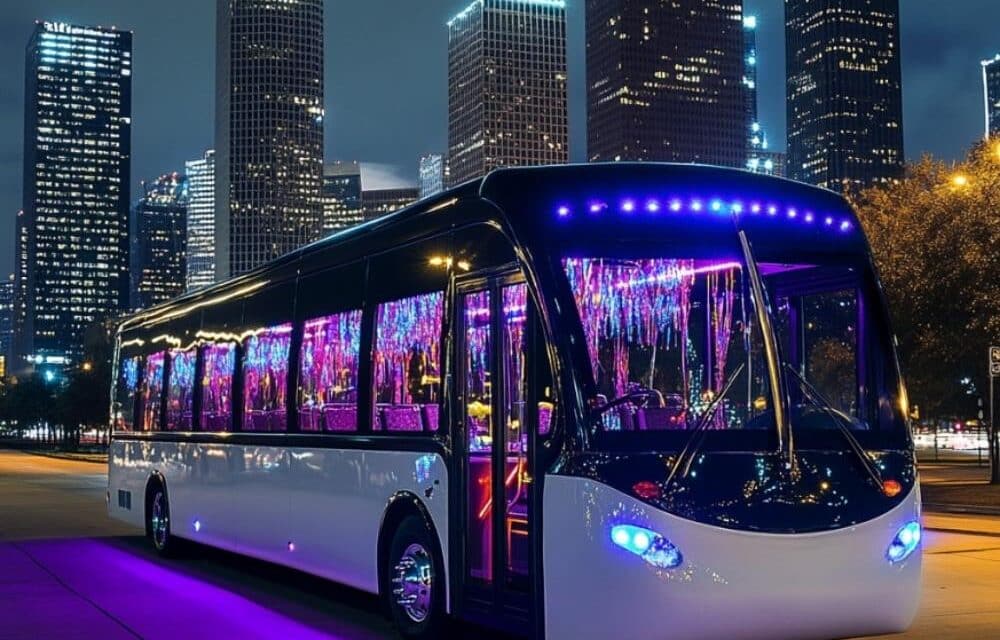 20 person party bus san diego
